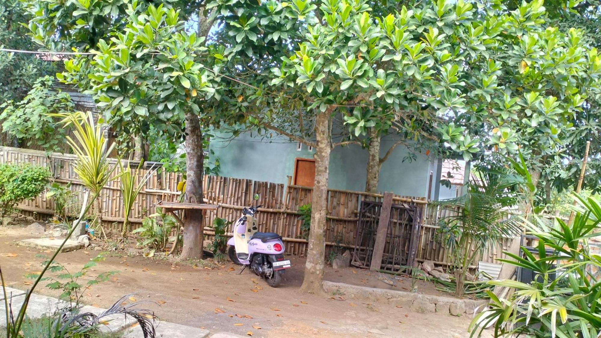 Palm Homestay Kuta Kuta  Экстерьер фото