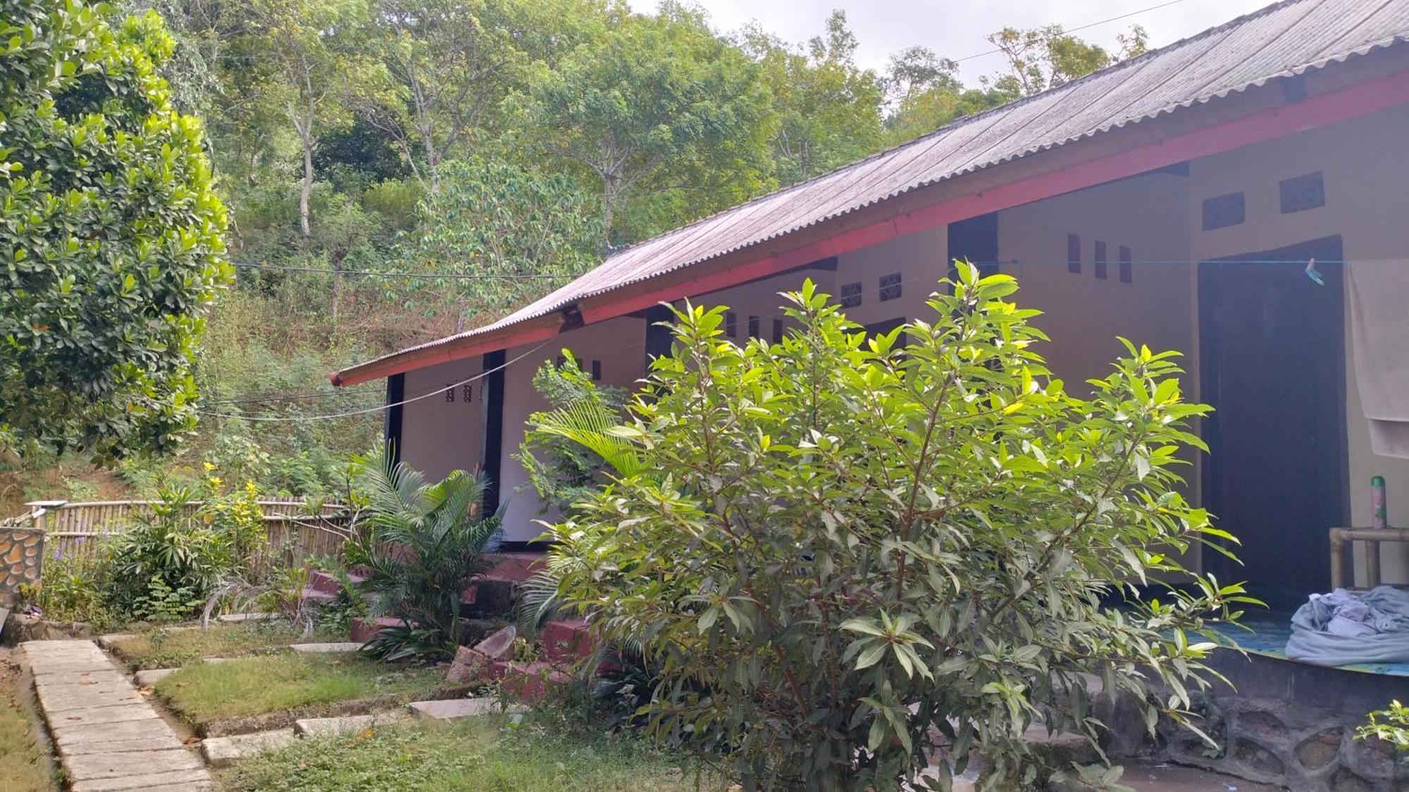 Palm Homestay Kuta Kuta  Экстерьер фото