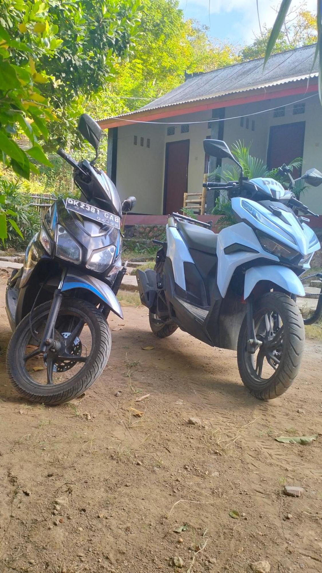 Palm Homestay Kuta Kuta  Экстерьер фото