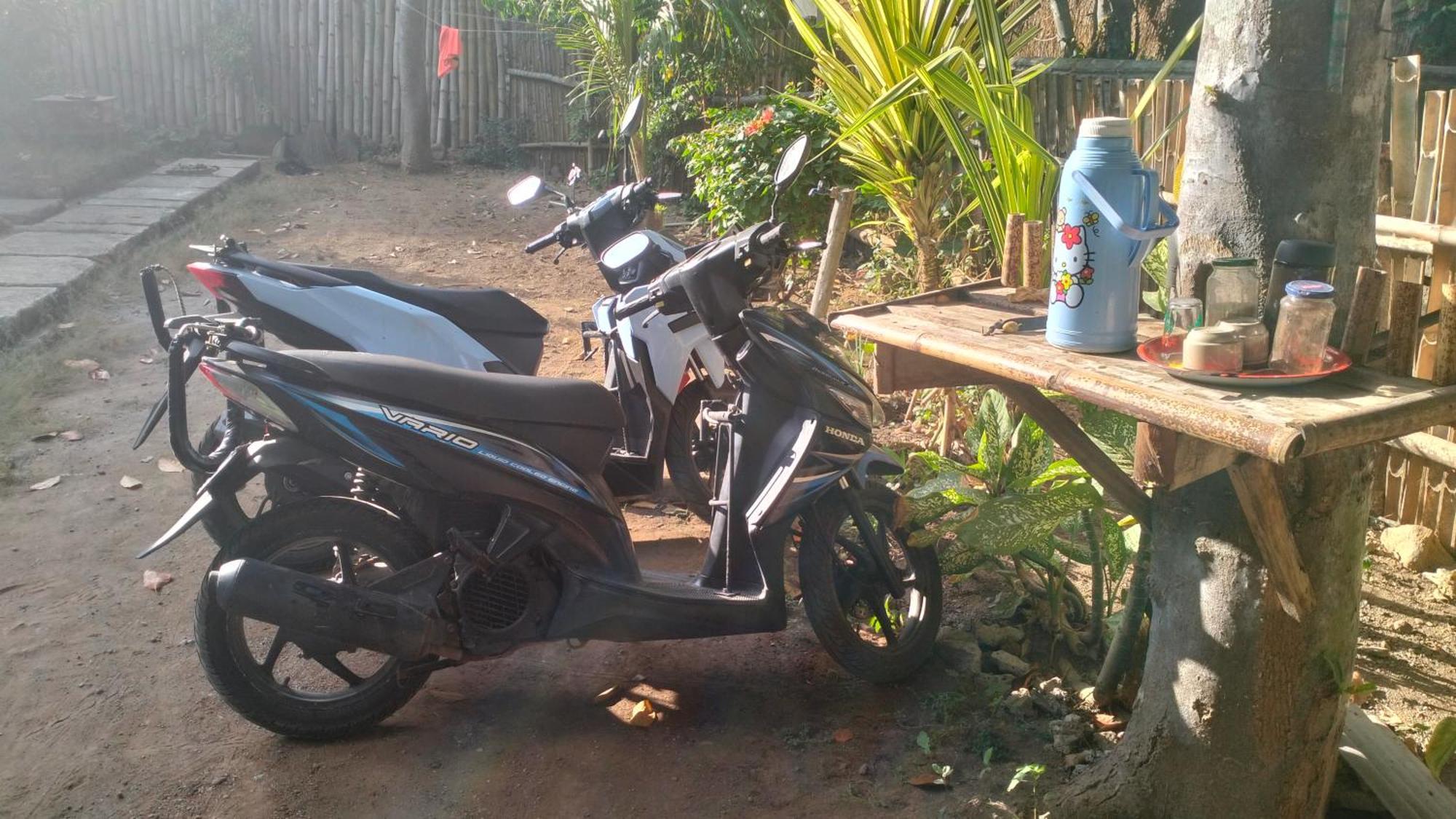 Palm Homestay Kuta Kuta  Экстерьер фото